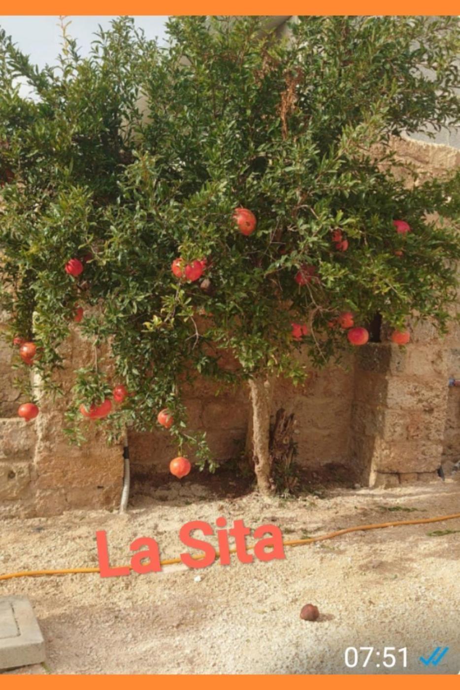La Sita Apartment Neviano Exterior foto